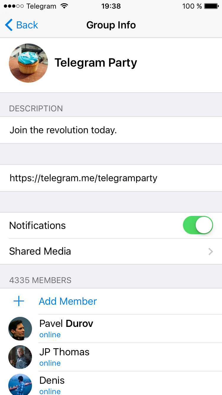 Official Telegram public group interface