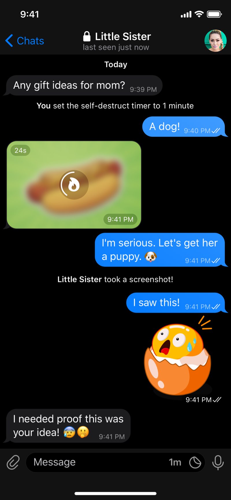 Official Telegram dark secret-chat interface used as a security reference